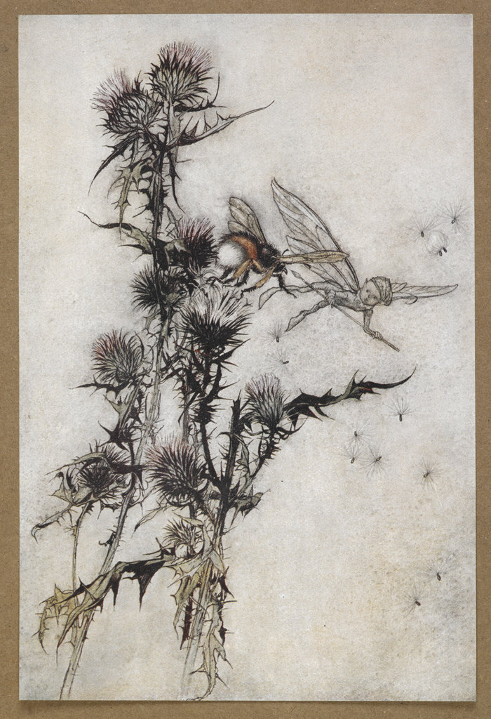 Ilustracija košnice