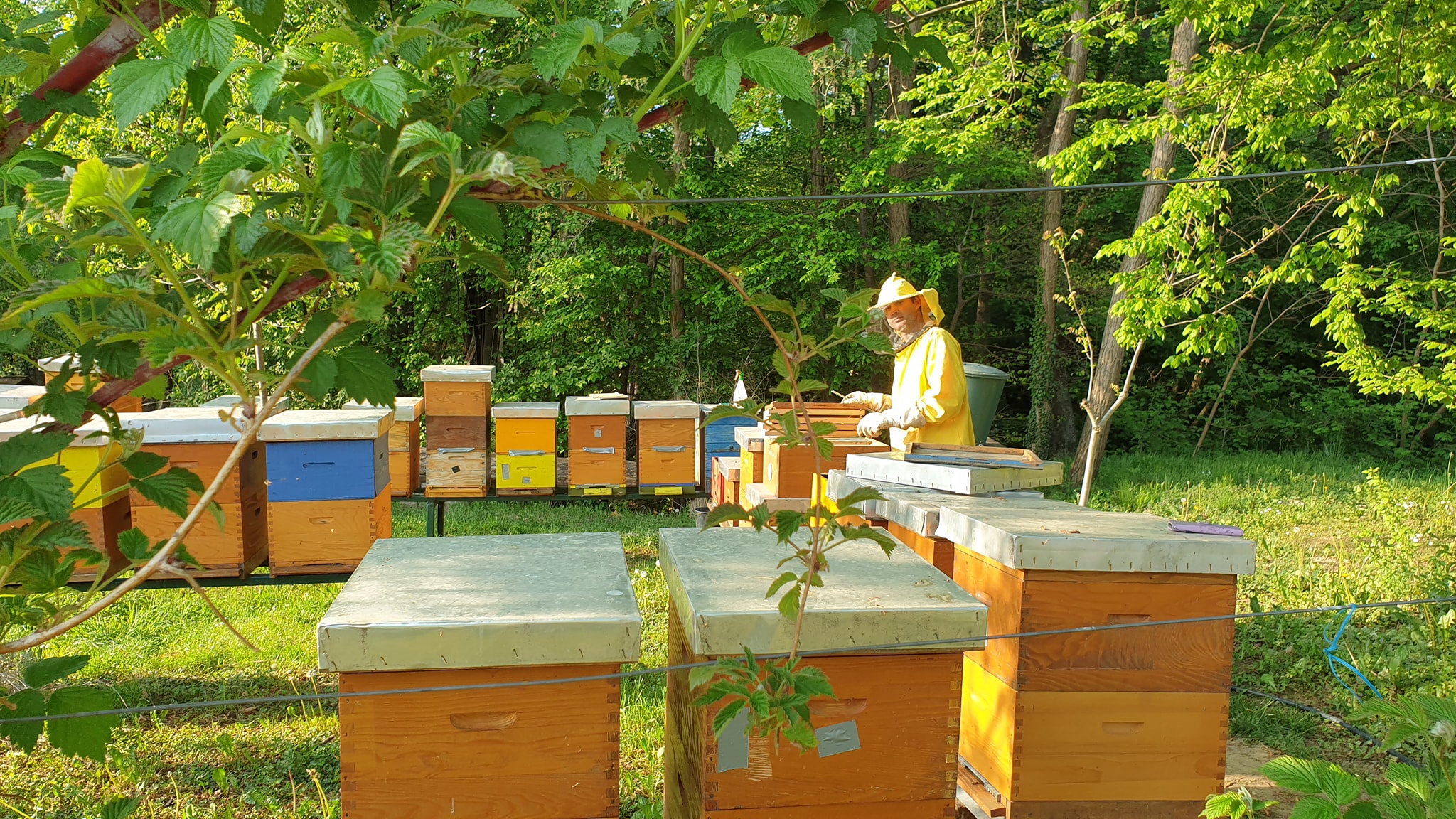 Zatvorena staklenka kremastog meda